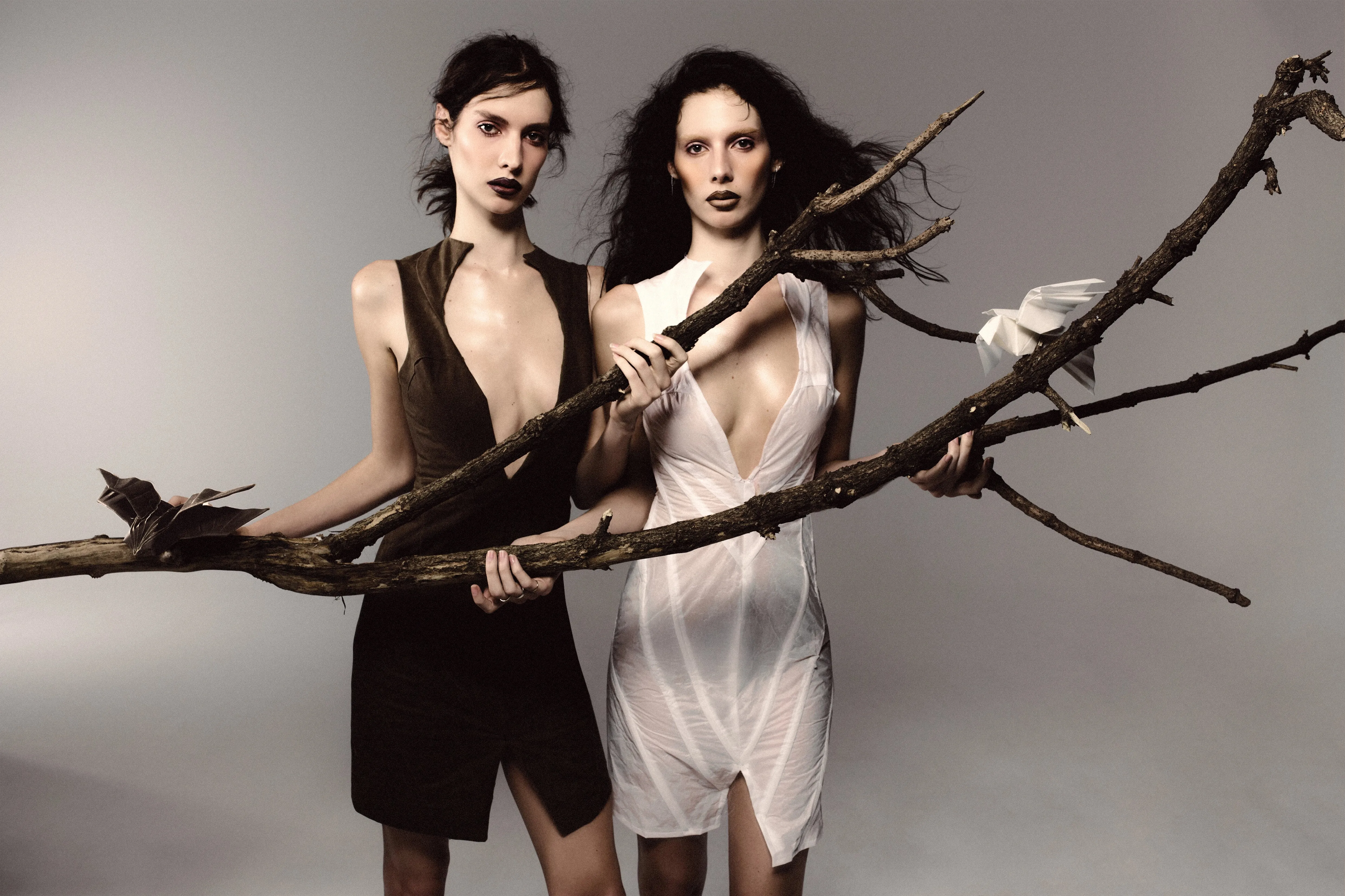 Campaign with Tré Koch