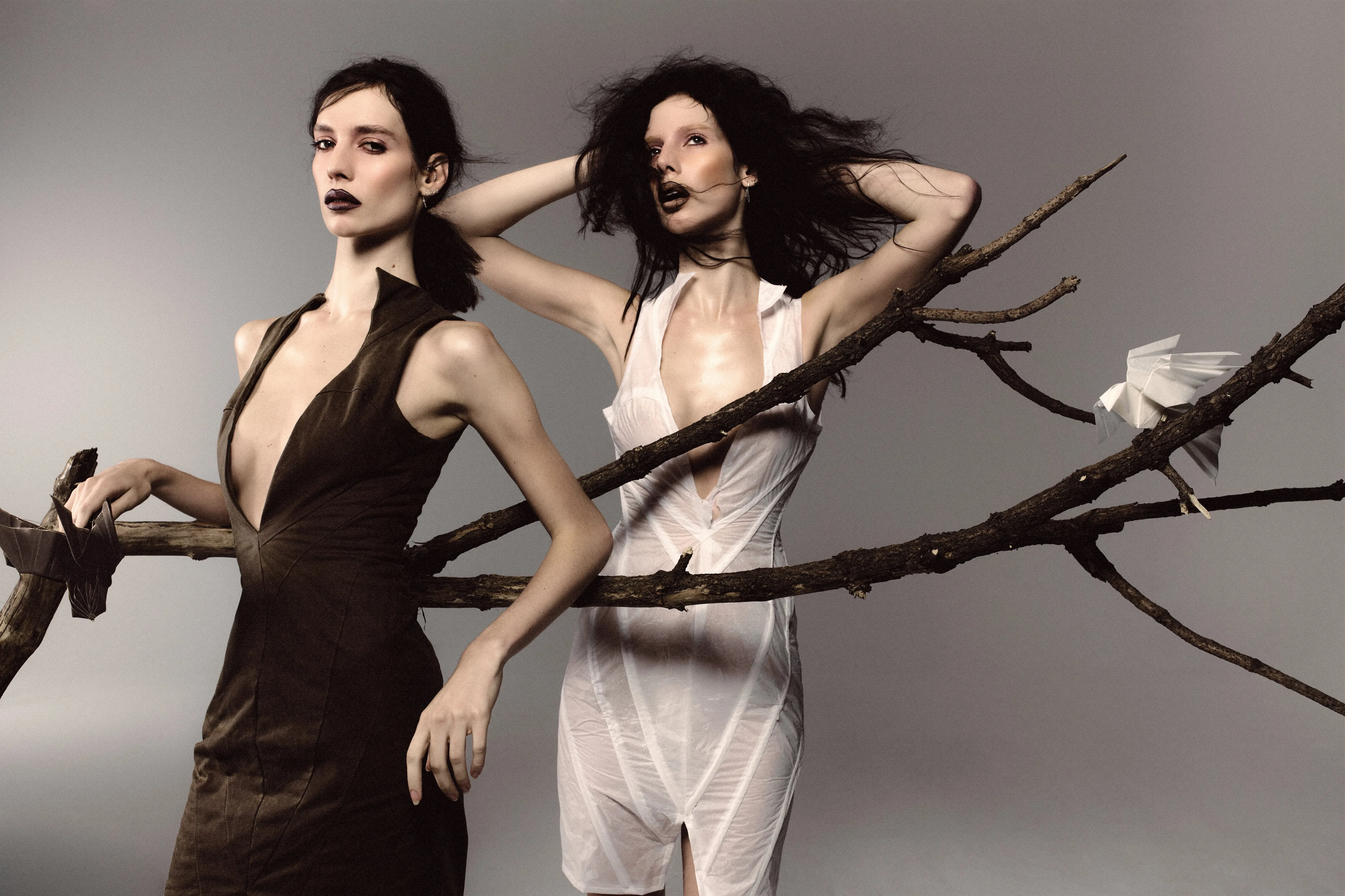 Campaign with Tré Koch