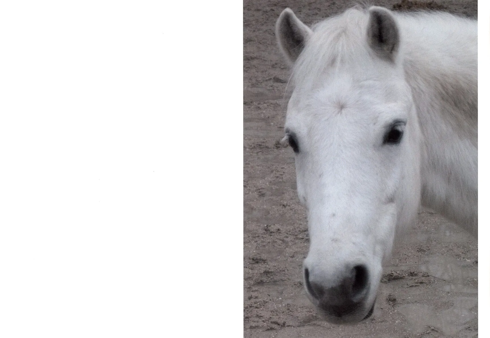 Campaign with Maja Lumholt