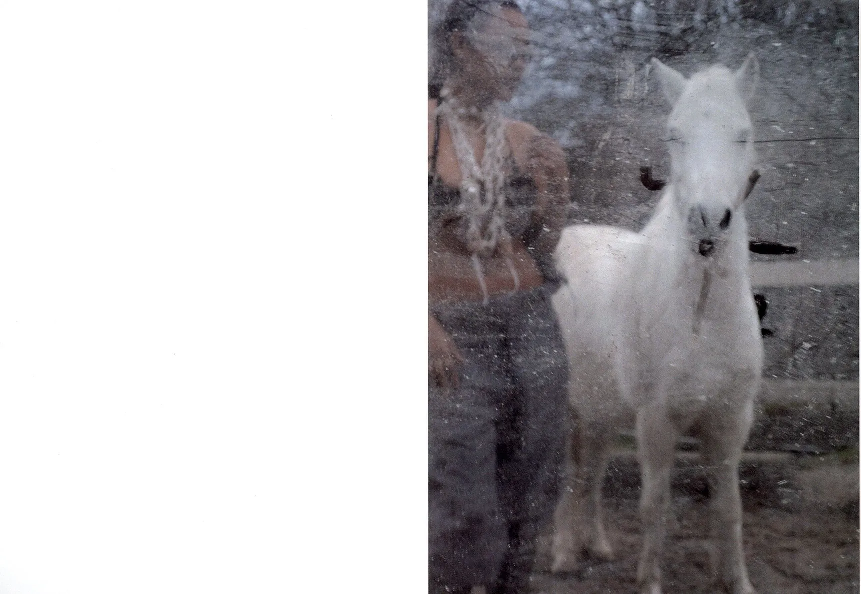 Campaign with Maja Lumholt